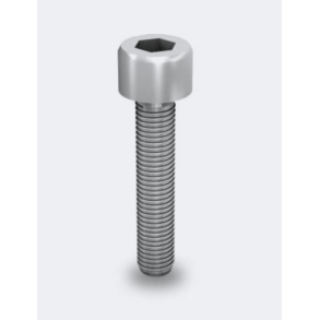 K2 Hexagonal socket head cap screw M8x20