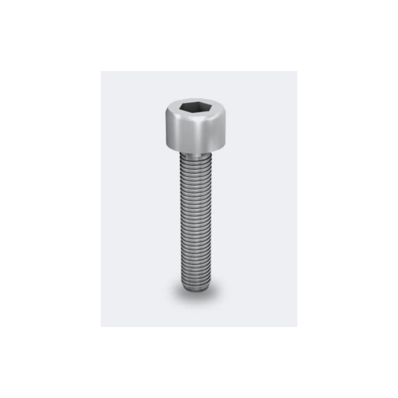 K2 Hexagonal socket head cap screw M8x20
