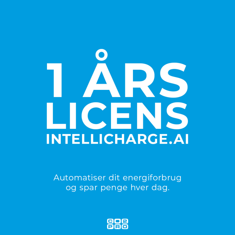 Intellicharge.Ai Abonnement 12 mdr. SP (Universel)